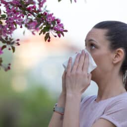 Woman with allergies blowing her nose, looking at a flowering tree.