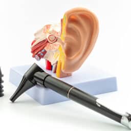 Ear model with otoscope.
